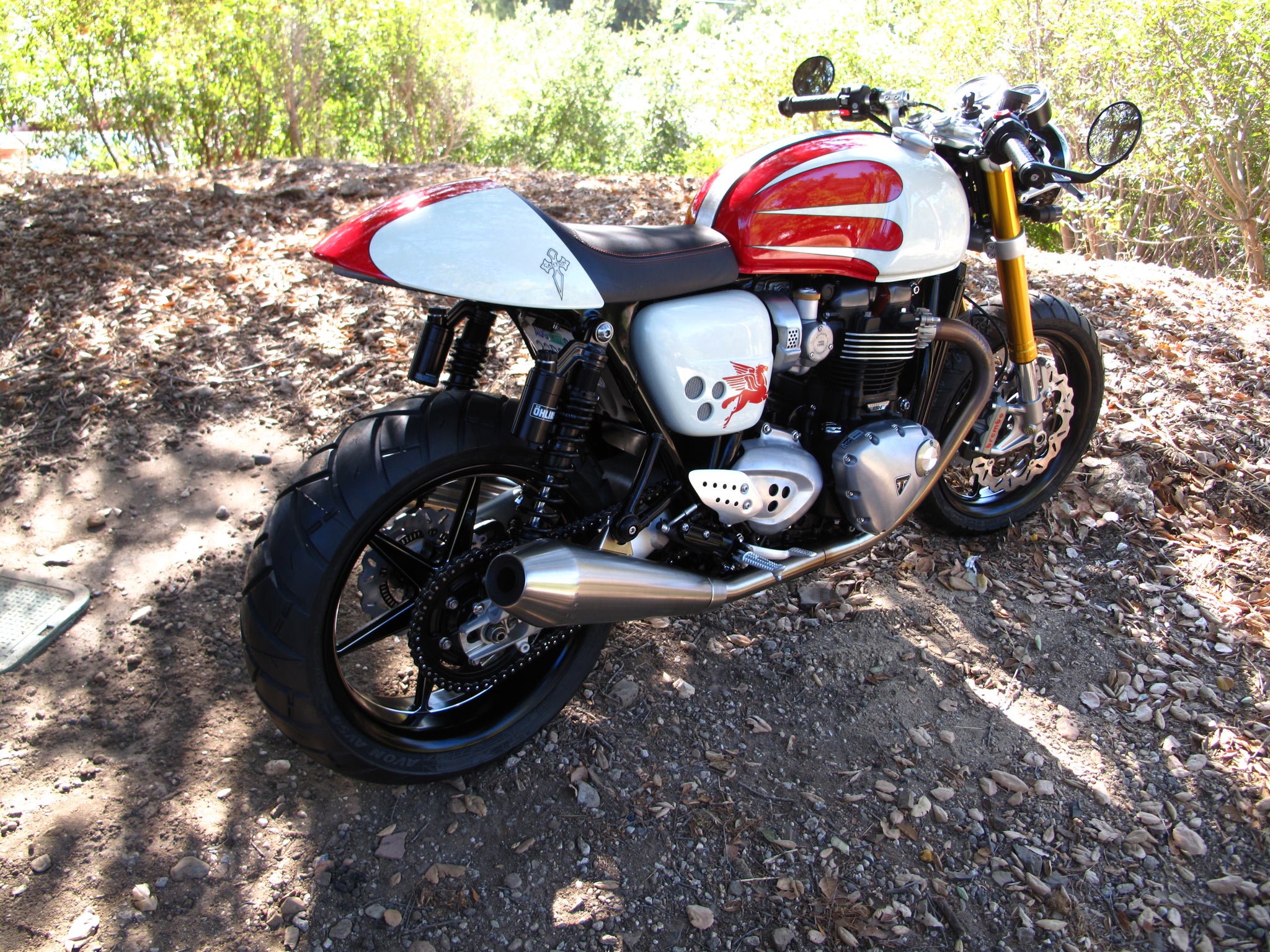 Thruxton r fender eliminator hot sale