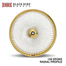 Harley Davidson 120 Spoke Radial Profile Wheel Kit - Stage 1-1